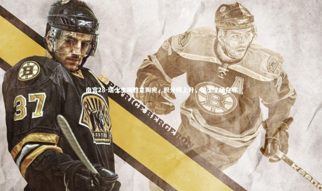 南宫28-瑞士主场胜立陶宛，积分榜上升，瑞士主场在哪