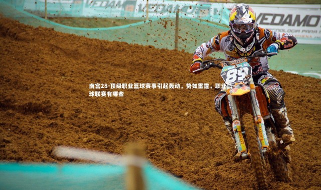 南宫28-顶级职业篮球赛事引起轰动，势如雷霆，职业篮球联赛有哪些